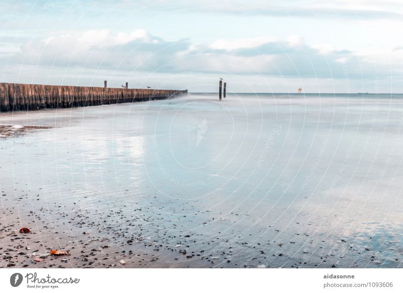 Ostseestrand Natur Landschaft Sand Luft Wasser Horizont Wetter Schönes Wetter Zufriedenheit achtsam Gelassenheit ruhig Mecklenburg-Vorpommern Deutschland Möwe