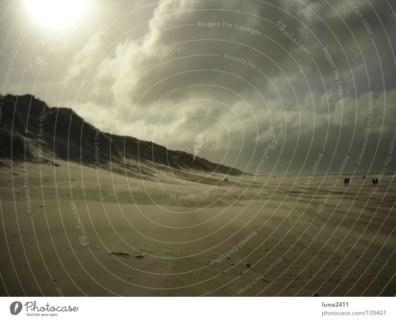 Sandsturm Teil 1 Strand Sturm Meer Küste Wolken Gegenlicht Leidenschaft Himmel Erde Wind Stranddüne Berge u. Gebirge Wasser Nordsee Spaziergang Sonne