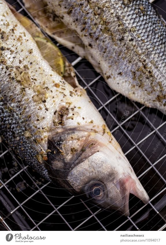 Frischer Wolfsbarsch zum Grillen Lebensmittel Fisch Kräuter & Gewürze Ernährung Mittagessen Bioprodukte Vegetarische Ernährung Meer einfach frisch Gesundheit