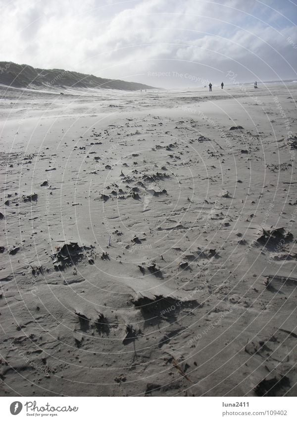 Sandsturm Teil 2 Strand Sturm Meer Küste Wolken Gegenlicht Leidenschaft Himmel Erde Wind Stranddüne Berge u. Gebirge Wasser Nordsee Spaziergang Stein Spitze