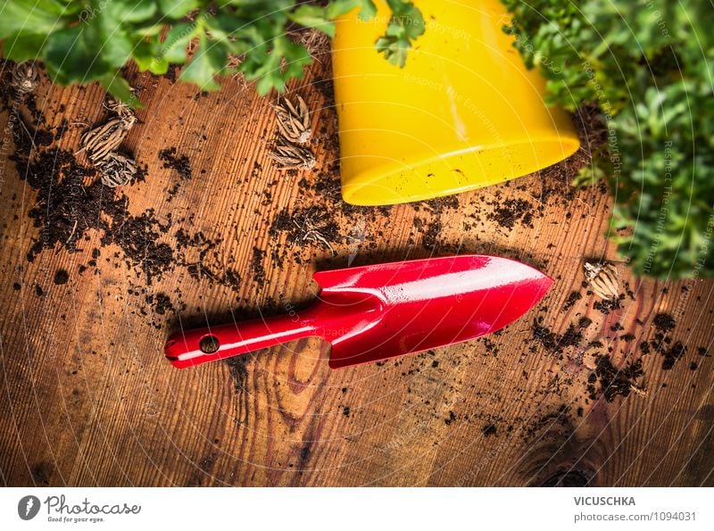 Rote Schaufel mit Blumentopf und Erde Lifestyle Stil Design Garten Innenarchitektur Dekoration & Verzierung Natur Pflanze Frühling Sommer Herbst Container