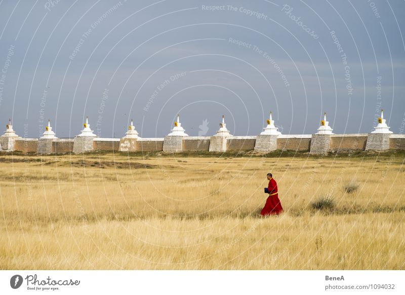 Monk ruhig Meditation Mönch Mensch maskulin Mann Erwachsene 1 Religion & Glaube Buddhismus Tempel Gras Park Wiese Kirche Mauer Wand Fußgänger Mönchskutte gehen