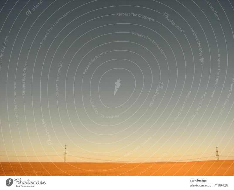 zweisam. Vogel Vogelschwarm Zugvogel Strommast Elektrizität elektrisch Physik angenehm Feld Körperhaltung Spaziergang Pendler Luft atmen maskulin wo Gelände