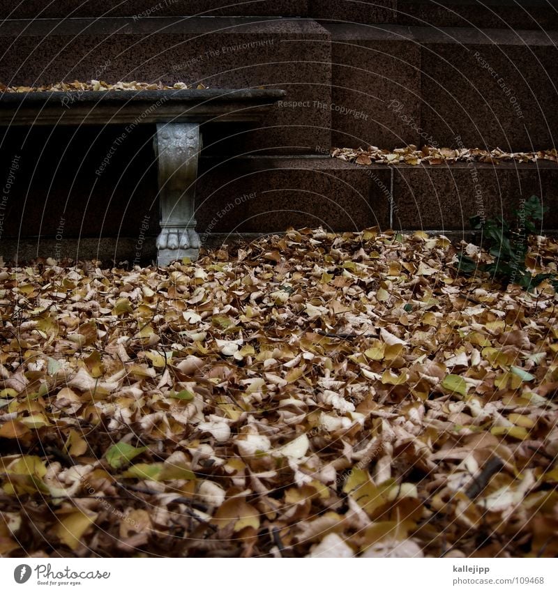 vergänglichkeit ruhig Friedhof Frieden Einsamkeit Herbst Beerdigung erinnern herrschaftlich Blatt Park Bildhauer Sandstein Granit braun kalt Vergangenheit