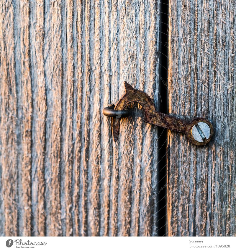 Geschlossen Riegel Schraube Holz Metall Rost hängen alt klein braun geheimnisvoll Neugier Schutz Verbote geschlossen Haken Öse Ösenschraube Autotür Farbfoto