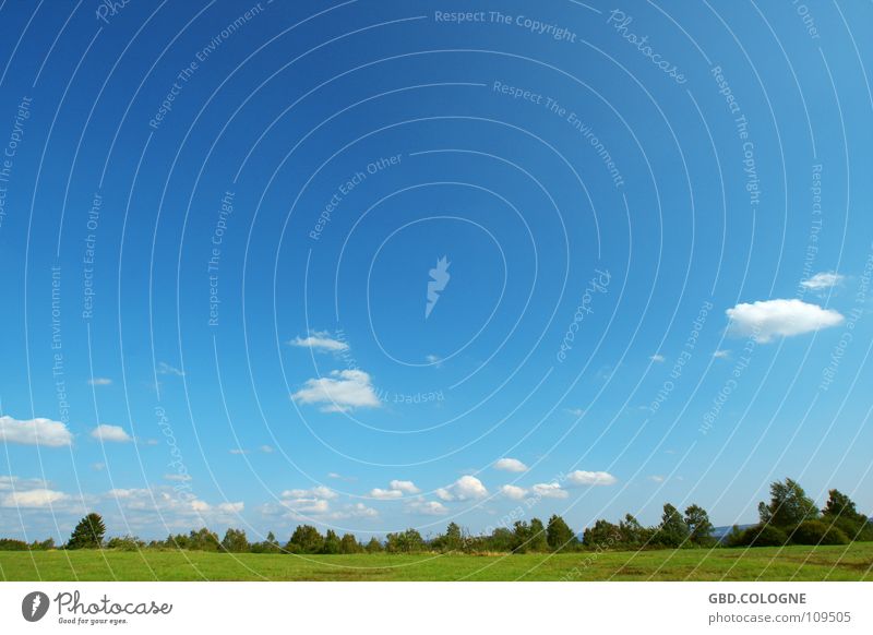 ins Blaue Sommer Jahreszeiten Wolken Panorama (Aussicht) grün Weitwinkel Wiese Wald Baum blau Himmel Landschaft Freiheit Superweitwinkel Natur Außenaufnahme