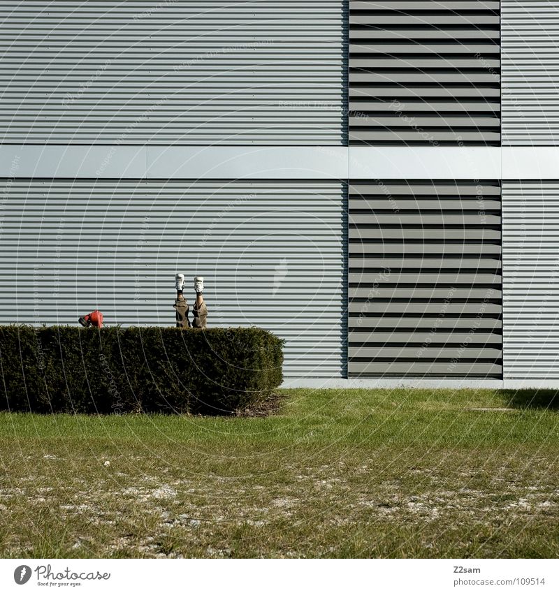 *Abtauchen* Zufriedenheit Sträucher gerade grün Wiese Gras Sommer Hydrant Körperhaltung fixieren Schuhe Hecke verrückt lässig Stil Handstand entgegengesetzt