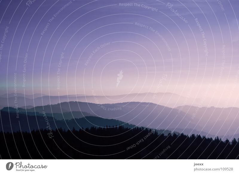 In weiter Ferne, so nah Nebel Ferien & Urlaub & Reisen Sonnenuntergang Wald Schwarzwald Fernweh Aussicht Erholung Berge u. Gebirge Himmel Konzentration