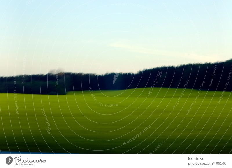 exposure Hintergrundbild Wiese Gras Wald Holzmehl Waldlichtung Feld grün Horizont horizontal Langzeitbelichtung fahren Geschwindigkeit Himmel Waldrand grell