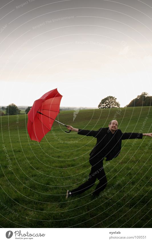 MIT SCHIRM, CHARME UND OHNE MELONE rot Feld Wiese ländlich Horizont Mann Kerl Anzug schwarz gehen springen fallen schick verrückt Spaziergang Turnschuh Gegend