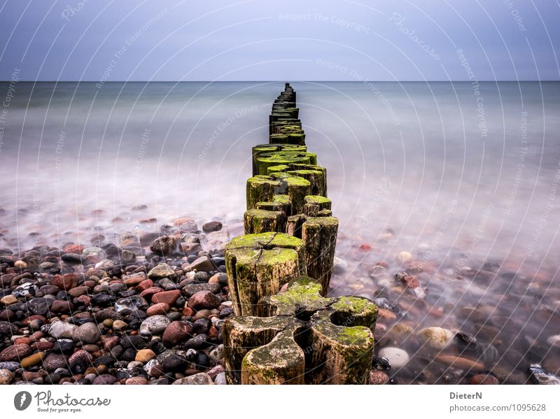 Kleeblatt Natur Landschaft Erde Luft Wasser Himmel Wolkenloser Himmel Wetter schlechtes Wetter Wind Küste Ostsee Meer blau grün schwarz weiß Buhne Horizont