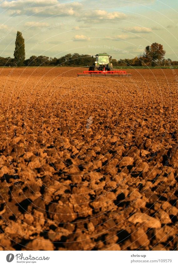 Traktor 2 Feld Landwirt Landwirtschaft Arbeit & Erwerbstätigkeit KFZ Nutzfahrzeug Fahrzeug Diesel Biodiesel Fußweg Landstraße Pflug Gemüsebau braun grün