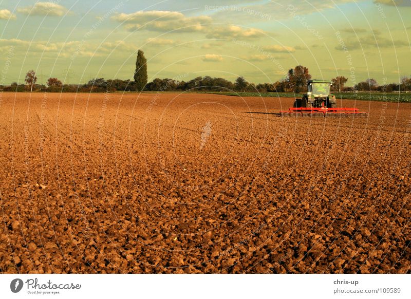 Traktor 3 Feld Landwirt Landwirtschaft Arbeit & Erwerbstätigkeit KFZ Nutzfahrzeug Fahrzeug Diesel Biodiesel Fußweg Landstraße Pflug Gemüsebau braun grün