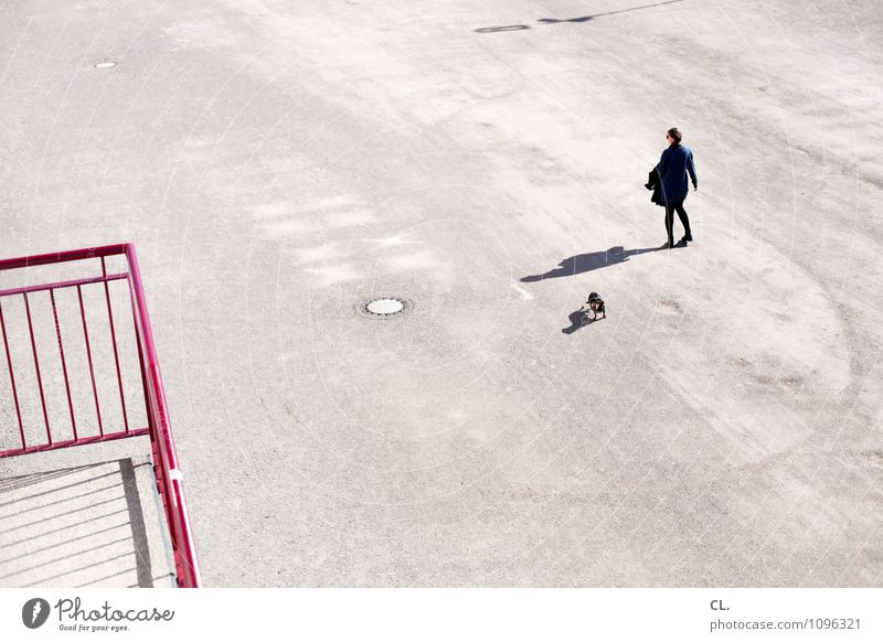 sonntag Mensch feminin Frau Erwachsene Leben 1 30-45 Jahre Schönes Wetter Platz Treppe Treppengeländer Tier Hund gehen frei Freizeit & Hobby einzigartig Ferne