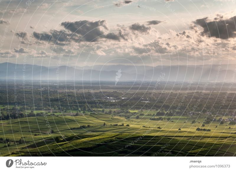 Rheintal Tourismus Ausflug Umwelt Natur Landschaft Himmel Wolken Horizont Klima Schönes Wetter Feld Hügel Weinbau Weingut Sonnenstrahlen Erholung schön Stimmung