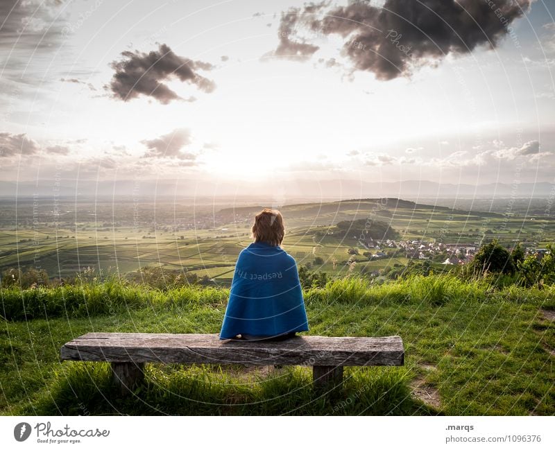 Guten Abend Mensch feminin Junge Frau Jugendliche 1 Natur Landschaft Himmel Wolken Sonne Sommer Herbst Schönes Wetter Gras Hügel Weinberg Weinbau Aussicht