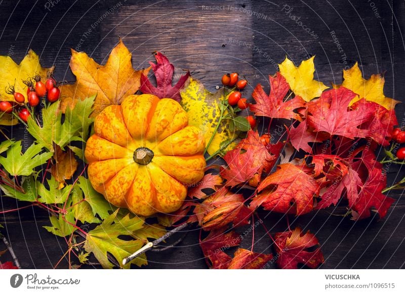 Kürbis auf bunte Herbst Blätter auf Holztisch Lebensmittel Gemüse Stil Design Garten Innenarchitektur Dekoration & Verzierung Tisch Feste & Feiern Erntedankfest