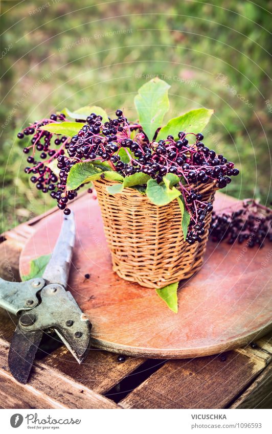 Holunder auf dem Gartentisch Lebensmittel Frucht Dessert Ernährung Bioprodukte Vegetarische Ernährung Diät Lifestyle Stil Design Gesunde Ernährung Natur Sommer