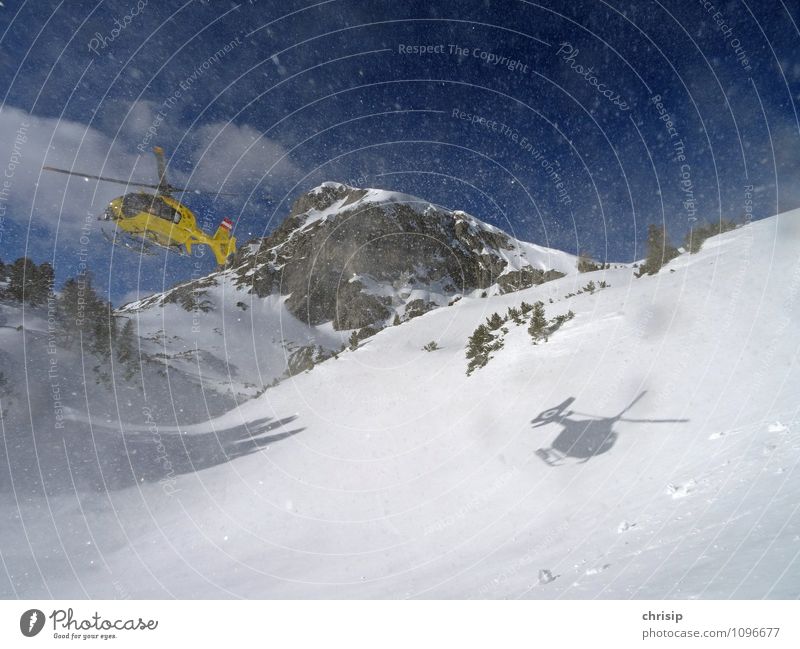 Heli in AKTION Umwelt Natur Landschaft Winter Schönes Wetter Wind Schnee Schneefall Baum Berge u. Gebirge Schneebedeckte Gipfel Verkehrsmittel Luftverkehr