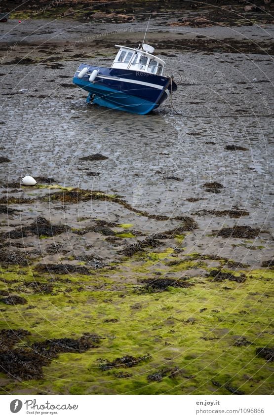 warten Ferien & Urlaub & Reisen Ausflug Abenteuer Sommerurlaub Meer Natur Landschaft Klima Algen Küste Bucht Meeresboden Schlamm Flut Ebbe Tidenhub Fischerboot