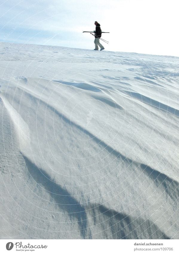 Vorfreude (oder der Schnee wird kommen !!) Winter kalt Licht weiß Ferien & Urlaub & Reisen Wintersport Winterurlaub Schwarzwald Tiefschnee Pulverschnee