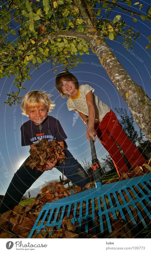 Herbstarbeit Blatt Kind Rechen Herbstlaub Laubbaum Baum Garten Park lachen herbstlich