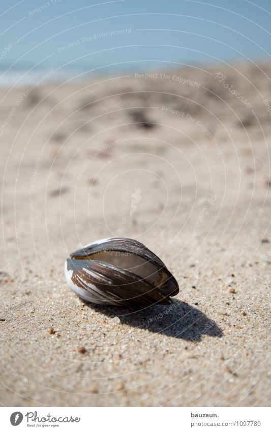 mies. Ferien & Urlaub & Reisen Tourismus Ausflug Umwelt Natur Landschaft Erde Sand Wasser Sommer Klima Wetter Schönes Wetter Küste Strand Meer Swakopmund