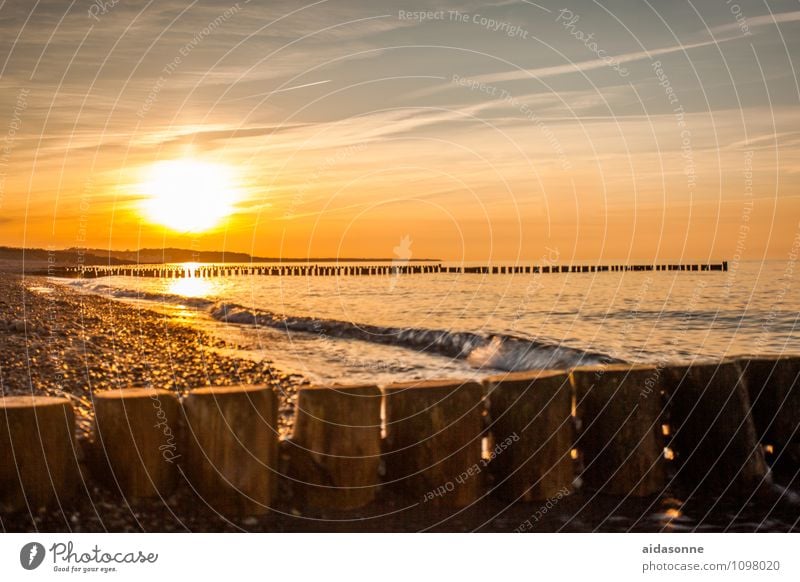 Goldener Sonnenuntergang Landschaft Wasser Himmel Sonnenaufgang Schönes Wetter Ostsee Glück Lebensfreude Romantik achtsam Gelassenheit ruhig Farbfoto