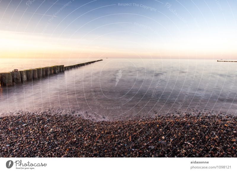 Ostsee Natur Landschaft Wasser Wolkenloser Himmel Horizont Sonnenaufgang Sonnenuntergang Schönes Wetter Romantik achtsam Gelassenheit ruhig