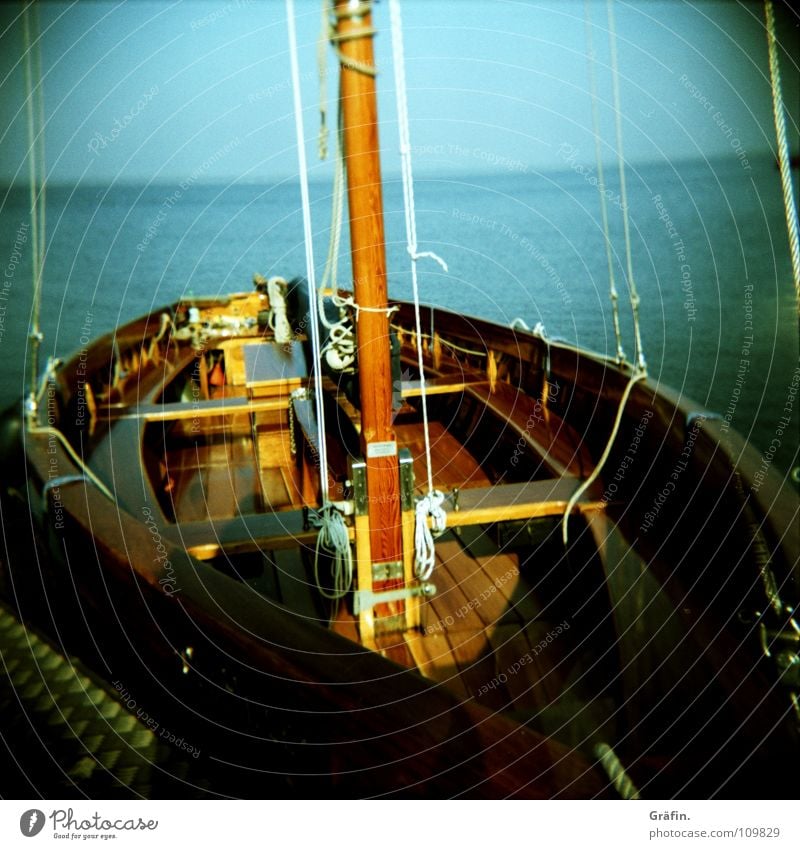 Auswanderer Wasserfahrzeug Steinhuder Meer Segeln Segelschiff Segelboot Holz Wanten Seil Fender Schiffsplanken Hannover Horizont Steg Kapitän Tourist Sommer