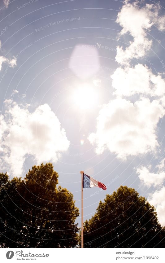 Frankreich Himmel Sonne Sonnenlicht Frühling Sommer Herbst Schönes Wetter Baum Laubbaum Stadt Hauptstadt Stadtzentrum Sehenswürdigkeit Wahrzeichen Tour d'Eiffel