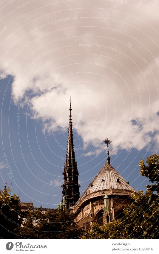 Postkarte aus Paris Ferien & Urlaub & Reisen Tourismus Ausflug Sightseeing Städtereise Natur Pflanze Wolken Gewitterwolken Schönes Wetter schlechtes Wetter Baum