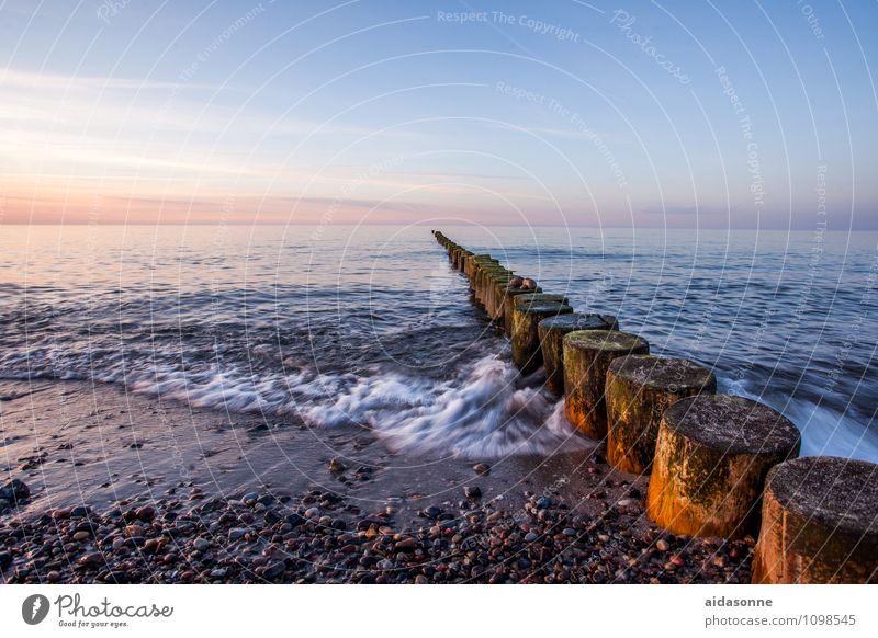 Ostsee Landschaft Wasser Wolkenloser Himmel Horizont Sonnenaufgang Sonnenuntergang Schönes Wetter Wellen Strand Zufriedenheit achtsam Vorsicht Gelassenheit