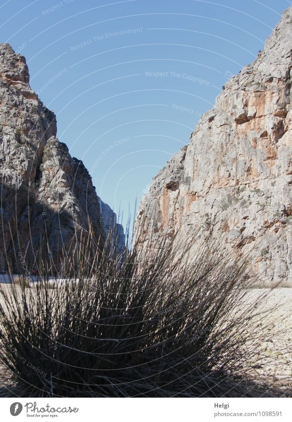 Torrent de Pareis... Ferien & Urlaub & Reisen Tourismus Ausflug Insel Berge u. Gebirge Mallorca Sa Calobra Serra de Tramuntana Schlucht Bucht Umwelt Natur