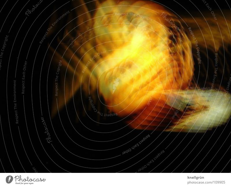 Burning gelb Brand Gefühle Farbe orange Fotokunst bewegte Bilder Gesicht Hot
