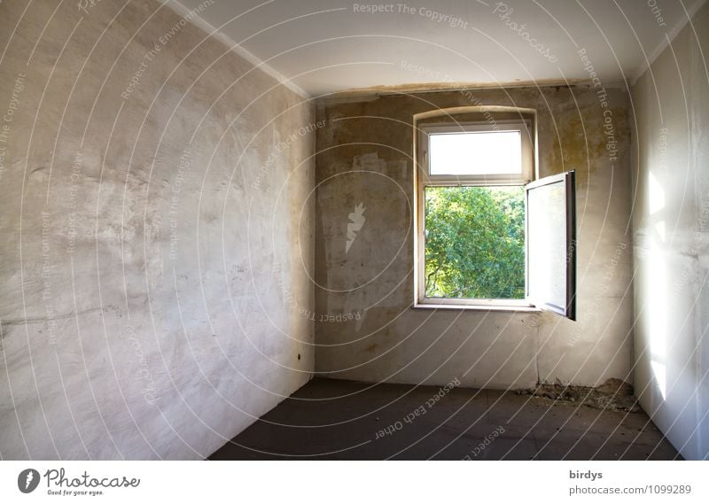 Ausweg gefunden Wohnung Altbauwohnung Raum Innenarchitektur Fenster ästhetisch authentisch Originalität Stadt grau grün Hoffnung Ferne offen graphisch Leerstand