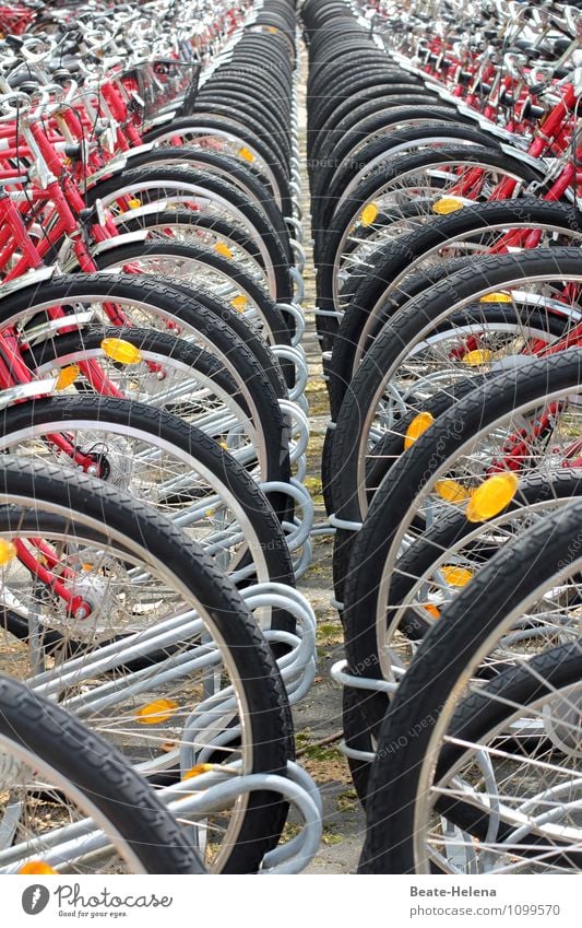 Die Saison ist eröffnet! Lifestyle Freizeit & Hobby Fahrradtour Fahrradfahren Frühling Wetter Verkehrsmittel Personenverkehr Stahl Bewegung