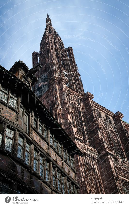 ganz schön alt Ferien & Urlaub & Reisen Tourismus Ausflug Sightseeing Städtereise Himmel Schönes Wetter Straßburg Straßburger Münster Elsass Frankreich Stadt