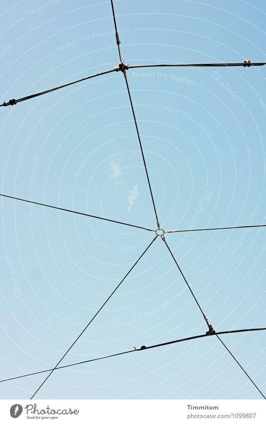 Drähte und Leitungen vor blauem Himmel Technik & Technologie Wolkenloser Himmel Verkehr Öffentlicher Personennahverkehr Schienenverkehr Oberleitung Verbindung