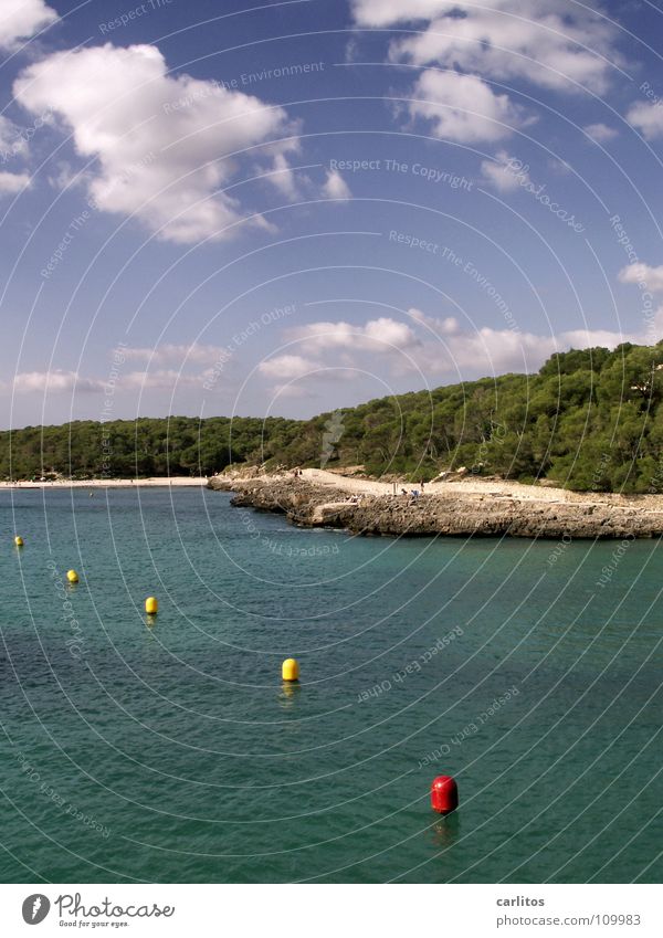 Zeitreise Lust Luft beweglich genießen Meer Wolken Physik Ferien & Urlaub & Reisen türkis Wald Baum See Strand tauchen Algen Gischt Schnorcheln Mallorca