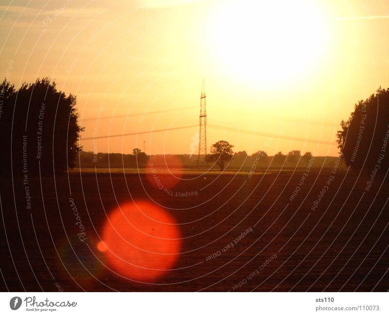 Spätsommer Sonnenuntergang Licht Sommer blenden Sonnenstrahlen Baum ruhig Sicherheit Himmelskörper & Weltall schön Wärme Freiheit Freude Kraft Natur