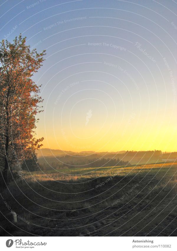 Sommerlandschaft im Herbst Landschaft Erde Himmel Horizont Wetter Nebel Hügel Farbe Aussicht Mühlviertel Abend Licht Schatten Panorama (Aussicht) Baum Wiese