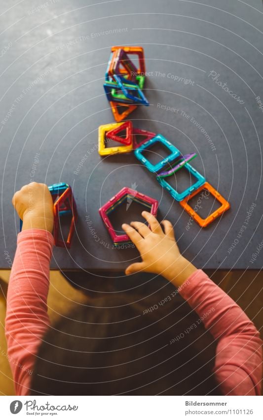 Architektin Spielen Kindererziehung Bildung Wissenschaften Kindergarten lernen Pädagogik Kindheit Arme Hand 1 Mensch 1-3 Jahre Kleinkind Spielzeug entdecken