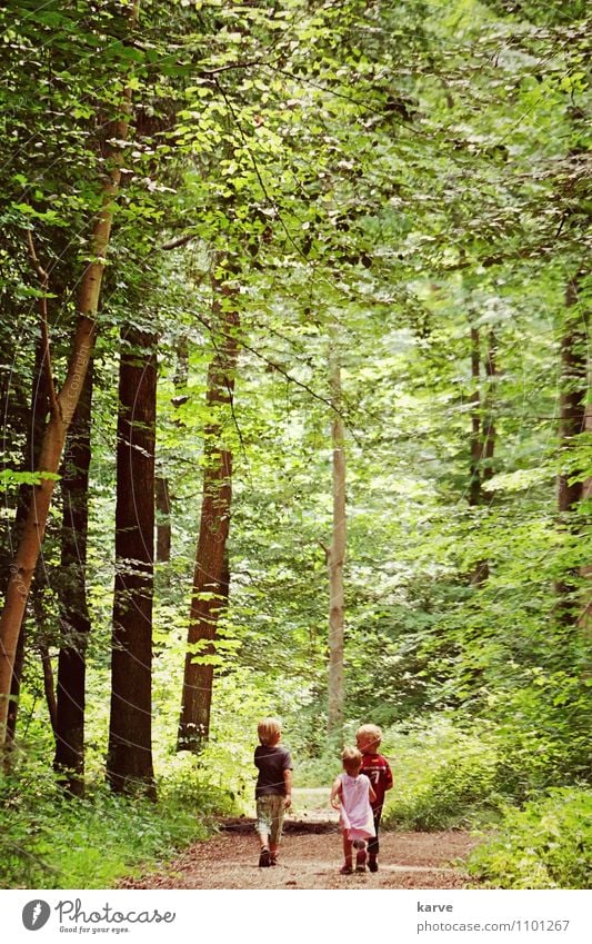 Sonntagsmarsch Freude Glück Freizeit & Hobby Ausflug Abenteuer Freiheit Sommer Mensch Kind Mädchen Junge Geschwister Kindheit 3 Kindergruppe 3-8 Jahre