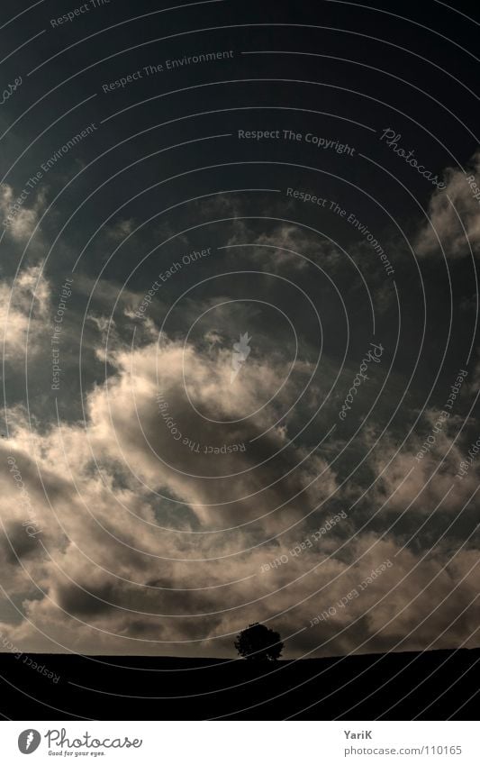 von schräg oben Horizont Baum Wolken schlechtes Wetter dunkel Sonnenstrahlen Ferne gehen Herbst blau Hügel Kontrast Himmel schonne Wege & Pfade Baumkrone Ast