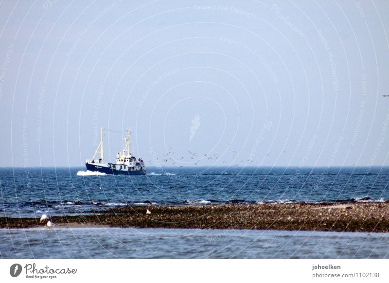 Wasserzeichen | Möwen an achtern Ferien & Urlaub & Reisen Tourismus Kreuzfahrt Meer Wellen Arbeit & Erwerbstätigkeit Fischer Fischerboot Küste Ostsee Kiel