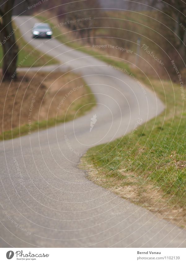 Gegenlichtmeeting Verkehr Verkehrswege Autofahren Straße Wege & Pfade Fahrzeug PKW braun grau grün Verabredung Gegenverkehr eng Kurve Gras Baum Landwirtschaft