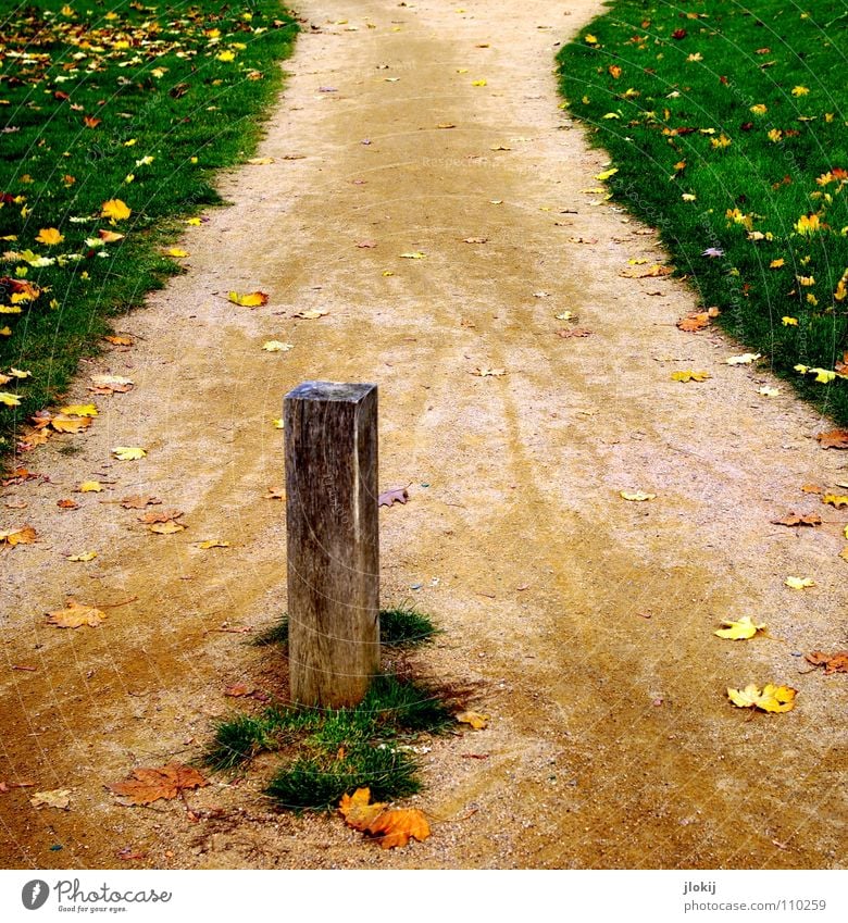 Abkürzung steinig Sand Gras grün Wiese Blatt Herbst Bürgersteig Poller Holz Fußgänger Holzmehl Jahreszeiten Gefäße Durchgang Grasnarbe Naturwuchs Erosion treten