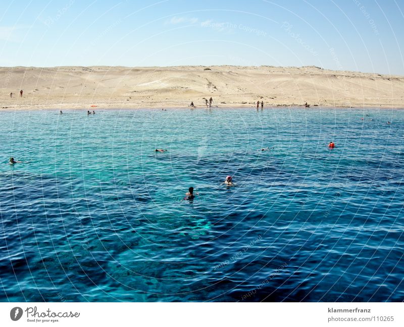 Planet der Affen Meer tauchen Wüste Wasser Mensch Schwimmen & Baden Stranddüne