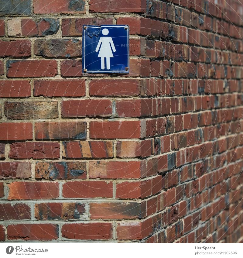 Stiller Ort Bauwerk Gebäude Fassade Zeichen Hinweisschild Warnschild alt trashig trist blau braun Toilette Damentoilette kaputt Backstein Backsteinwand Farbfoto